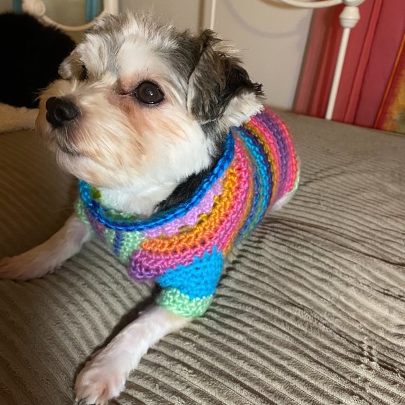 Small Dog Sweater, Toy Dog Clothes, Unique, Hand Knit One of a Kind, Colorful - Picture 16 of 16